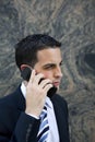 Attractive Young Executive on Cell Phone Royalty Free Stock Photo