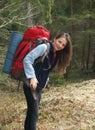 Attractive young female climber