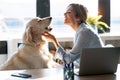 Attractive young woman caring her beautiful dog while working with laptop in living room at home