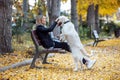 Attractive young woman caring and playing with her beautiful golden retriever dog while sitting on bench in the park Royalty Free Stock Photo