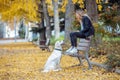 Attractive young woman caring and playing with her beautiful golden retriever dog while sitting on bench in the park Royalty Free Stock Photo