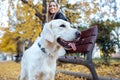 Attractive young woman caring and playing with her beautiful golden retriever dog while sitting on bench in the park Royalty Free Stock Photo