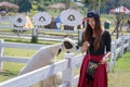 Attractive young woman feeding a sheep Royalty Free Stock Photo