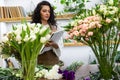 Attractive young woman florist is working in a flower shop. Royalty Free Stock Photo