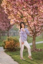 Attractive young woman in a purple sweater stand in front of sakura tree in the park Royalty Free Stock Photo