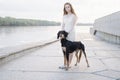 attractive young woman stand walk with saluki dog near river bank.