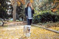 Attractive young woman walking with her lovely golden retriever dog while using her smart phone in the park in autumn Royalty Free Stock Photo