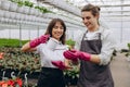 Attractive young woman watering young plant in soil in hands of florist in greenhouse