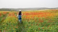 Attractive young woman wearing red dress walking happy in poppy flower spring field. Royalty Free Stock Photo