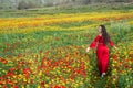 Attractive young woman wearing red dress walking happy in poppy flower spring field. Royalty Free Stock Photo