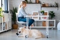 Attractive young woman working with laptop while her cute dog keeping her company in living room at home Royalty Free Stock Photo