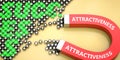 Attractiveness attracts success - pictured as word Attractiveness on a magnet to symbolize that Attractiveness can cause or