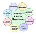 Attributes of Effective Management