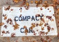 Atumn Brown Oak Leaves on painted Compact Car Sign in Parking Lot
