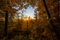 Atumn forest sunset Royalty Free Stock Photo