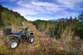 ATV parked overlooking forest