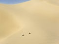 ATVs on Sand Mountain Nevada Royalty Free Stock Photo