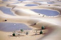 ATV in Sahara desert Royalty Free Stock Photo