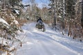 An ATV on wheels ride on a taiga forest road in winter Royalty Free Stock Photo