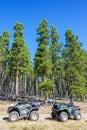 ATVs in a Forest Royalty Free Stock Photo