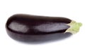 Aubergine