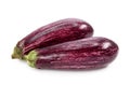 Aubergine