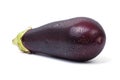 Aubergine