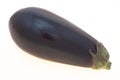 Aubergine