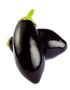 Aubergine or eggplant isolated on white background. Royalty Free Stock Photo