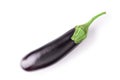 Aubergine eggplant isolated on white background. Clipping Path Royalty Free Stock Photo