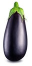 Aubergine or eggplant isolated on white background. Royalty Free Stock Photo