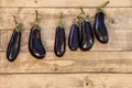 Aubergine hanging on a wooden background