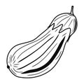 Aubergine icon. Creative illustration. Black sketch. Idea for decors, logo, patterns, papers. Isolated vector art.