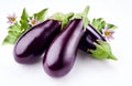 Aubergine with leaves and flowers isolated on white Royalty Free Stock Photo