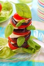 Aubergine,mozzarella and tomato tower Royalty Free Stock Photo