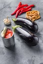 Aubergine penne ingredients eggplant pasta, pepper tomatoe sauce, on grey background side view Royalty Free Stock Photo