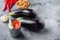 Aubergine penne ingredients eggplant pasta, pepper tomatoe sauce, on grey background side view space for text Royalty Free Stock Photo