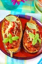 Aubergine stuffed with meat in tomato sauce Royalty Free Stock Photo