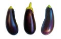 Aubergine vegetable, purple eggplant isolated on white background. Realistic image of a brinjal. Royalty Free Stock Photo