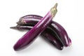 aubergine