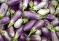 Aubergines