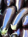Aubergines Royalty Free Stock Photo