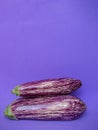 Aubergines on purple background with copy space. Royalty Free Stock Photo