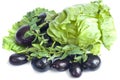 Aubergines and salad on a white background