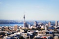 Auckland city Royalty Free Stock Photo