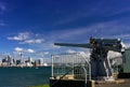 Auckland City Naval Gun