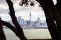 Auckland cityscape view from Devonport the suburb of Auckland, North island of New Zealand. Royalty Free Stock Photo
