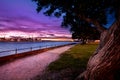 Auckland City from north Shore