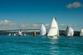 Auckland - The City of Sails