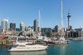 Auckland marina with moored yachts and skyline with Sky Tower in background